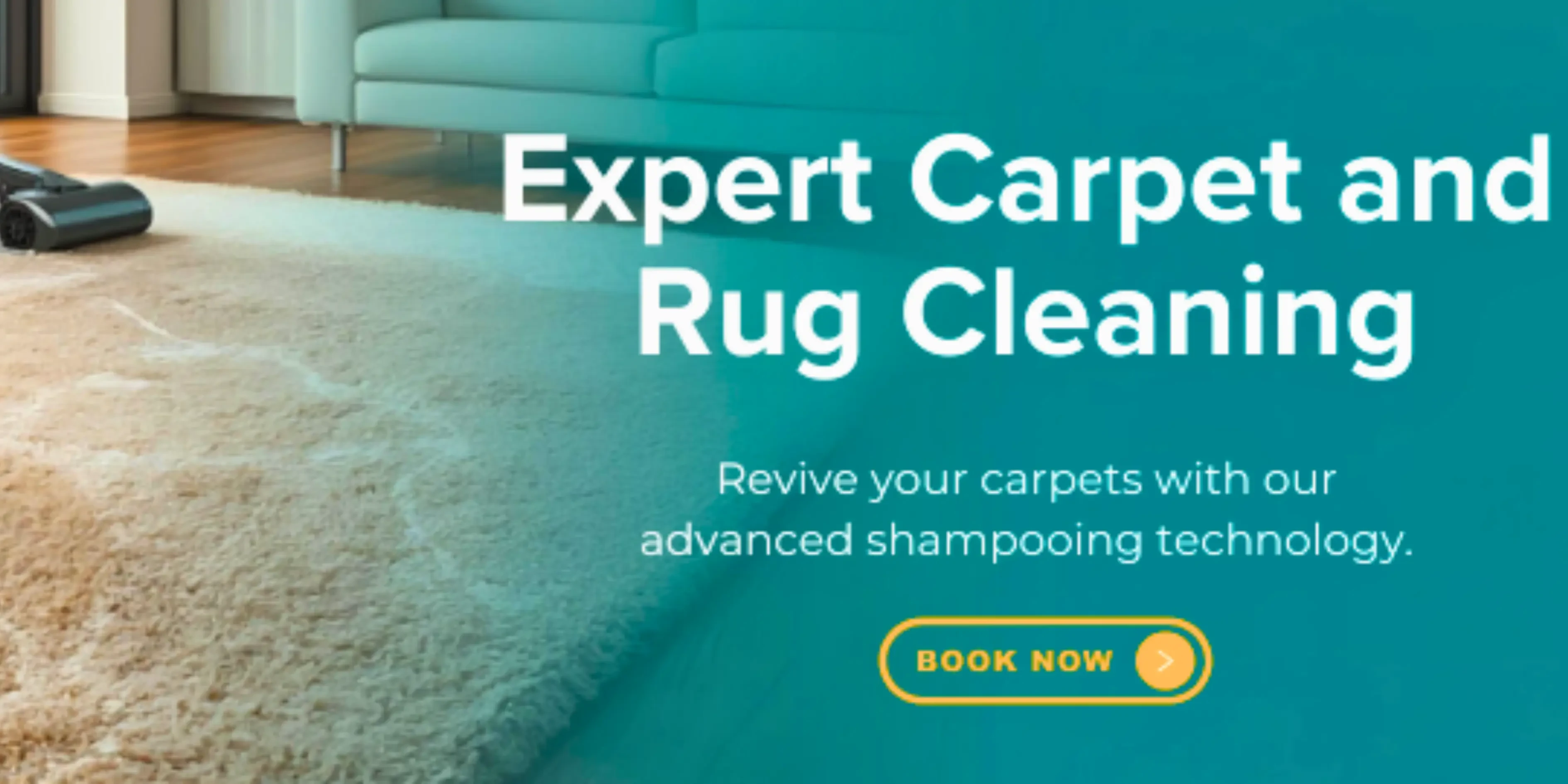 Expert carpet and rug deep cleaning service using advanced shampooing technology